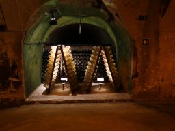 ANLVA EHB TROYES 7-11 MAY 2024 IMG_5787